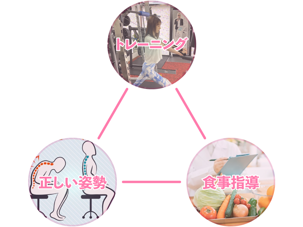 トレーニング タンパク質 食事指導